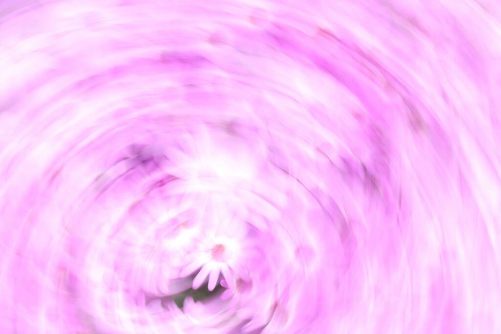 Dieses Bild ist ein Dekorationsbild. Es stellt abstrakt einen Tornado dar - in pink und aus Blumen.